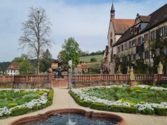 Unterwegs mit Annemarie Heußlein im idyllischen Abteigarten des Kloster Bronnbach am 4. Mai