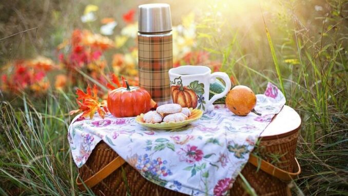 "Picknick - Genuss unter freiem Himmel"