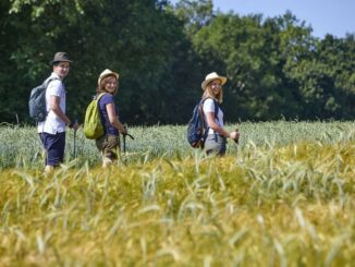 Wanderziele mit Bus und Bahn gut zu erreichen