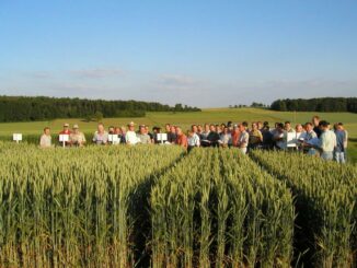 Feldrundgang für Landwirte - Vielfalt auf dem zentralen Versuchsfeld in Boxberg entdecken