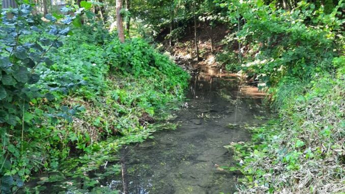 Landratsamt schränkt Wasserentnahmen aus oberirdischen Gewässern ein