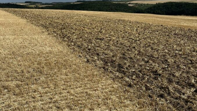 Landwirtschaftsamt und Partner veranstalten Feldtag am 18. August in Oberbalbach