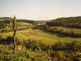 Geführte Rundwanderung um das Kloster Bronnbach