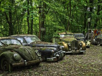 automobile, car cemetery, antique car