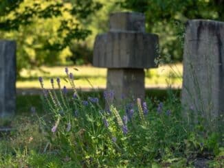 ++ Ökotipp | Naturnahe Grabgestaltung - So wird der Friedhof zur Oase für ...