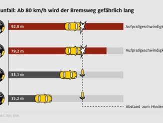 Wildunfallgefahr steigt nach der Zeitumstellung / ADAC: Berufsverkehr und ...