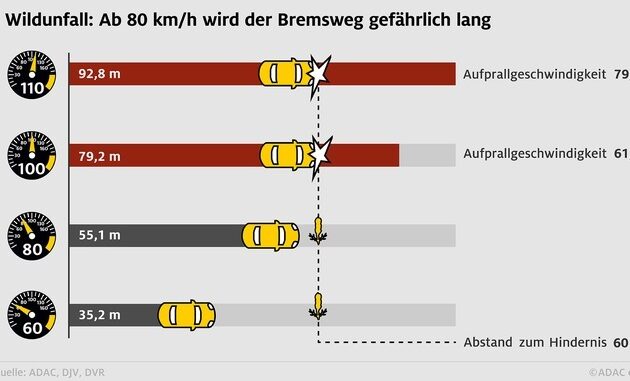 Wildunfallgefahr steigt nach der Zeitumstellung / ADAC: Berufsverkehr und ...