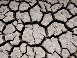 ++ Trockenheit und Landwirtschaft: Trotz Regen negative Wasserbilanz I #Trockenheit ++