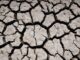 ++ Trockenheit und Landwirtschaft: Trotz Regen negative Wasserbilanz I #Trockenheit ++