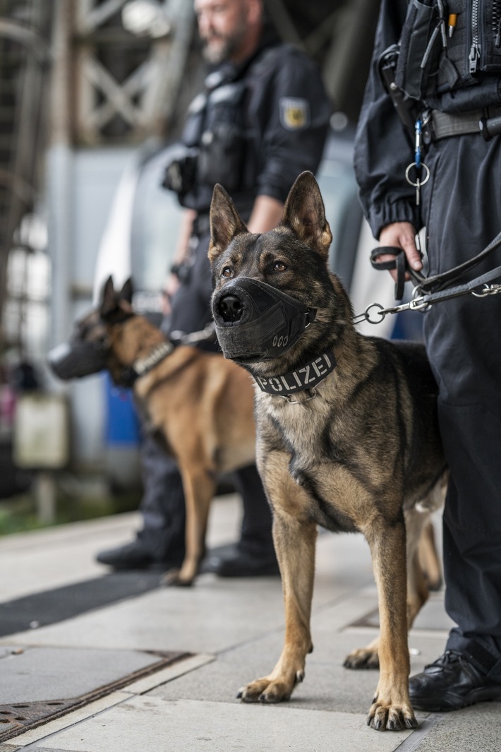 BPOL-HB: Nicht nur Polizeihunde beweisen guten Spürsinn