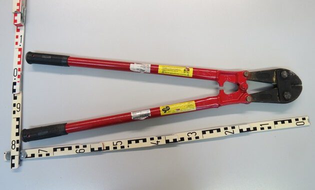 ▷ POL-HN: Pressemitteilung des Polizeipräsidiums Heilbronn vom 05.01.2022 mit einem ...