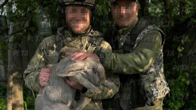 Ukraine: Dringende Tierrettungsaktion in der Region Charkiw