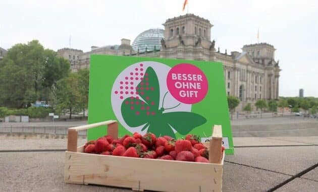 ++ BUND-Erdbeertest: Giftige Verlockung im Körbchen – Viele Erdbeeren ...