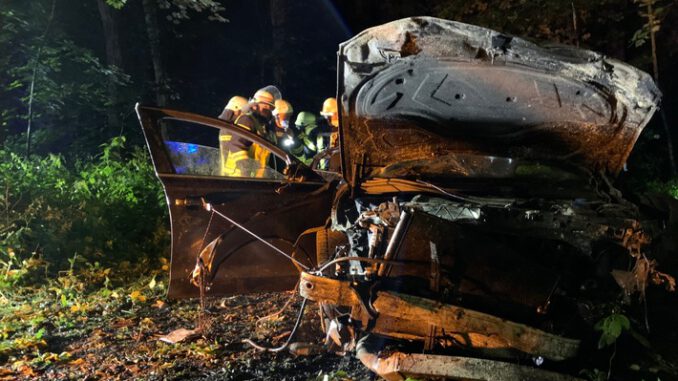 FF Bad Salzuflen: Drei Menschen bei Alleinunfall zum Teil lebensgefährlich verletzt / Audi landet auf Waldweg zwischen Bad Salzuflen und Wüsten