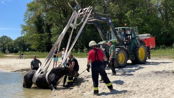 FF Goch: Pferd versinkt in Spülsand