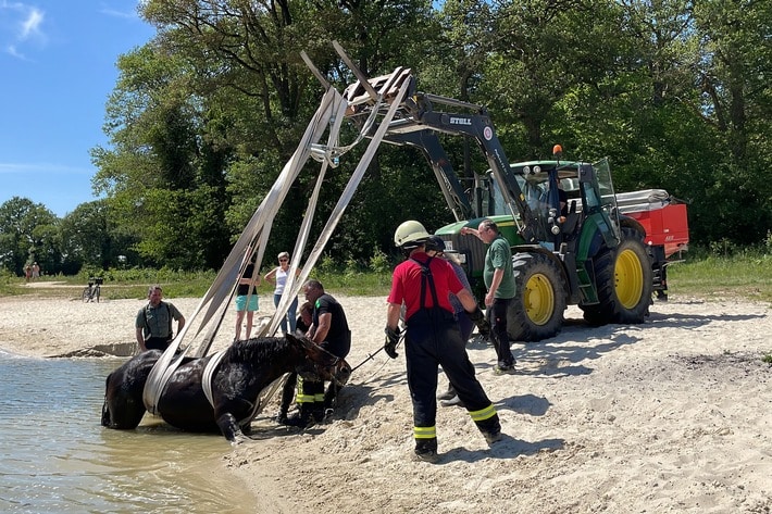 FF Goch: Pferd versinkt in Spülsand