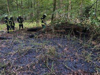 FF Goch: Wieder Feuer im Wald - 200 Quadratmeter Unterholz in Flammen