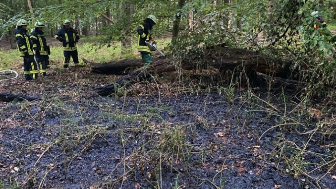 FF Goch: Wieder Feuer im Wald - 200 Quadratmeter Unterholz in Flammen