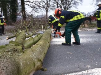 FFW Schiffdorf: Baum behindert Fahrbahn - Sturmböen sorgen erneut für Einsatz