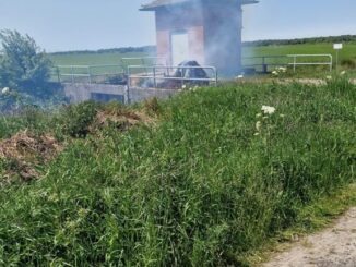 FFW Schiffdorf: Feuerwehr verhindert Ausbreitung - trockene Vegetation macht sich bemerkbar