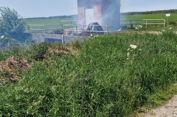 FFW Schiffdorf: Feuerwehr verhindert Ausbreitung - trockene Vegetation macht sich bemerkbar