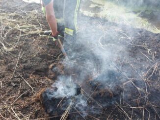 FFW Schiffdorf: Nachlöscharbeiten fordern Ortsfeuerwehr Altluneberg