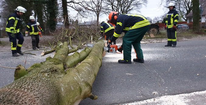 FFW-Schiffdorf-Sturmboeen-sorgen-fuer-umgestuerzten-Baum-in-Schiffdorf.jpeg FFW Schiffdorf: Sturmböen sorgen für umgestürzten Baum in Schiffdorf