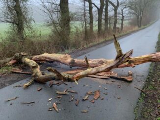 FFW Schiffdorf: Umgestürzter Baum blockiert Straße - Feuerwehr sorgt für freie Fahrt