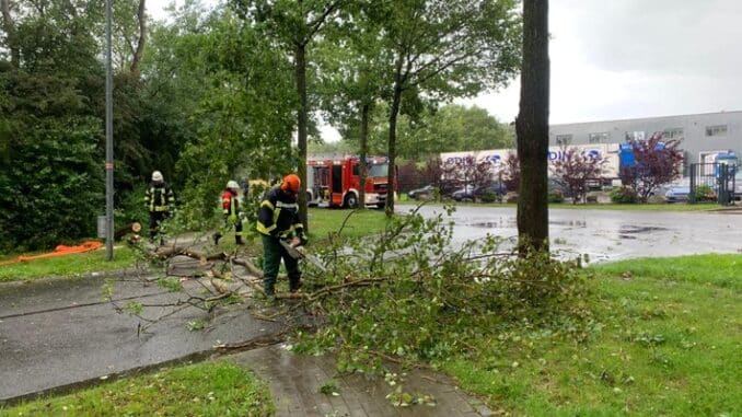 FFW Schiffdorf: Windböen sorgen für Einsätze im Gemeindegebiet