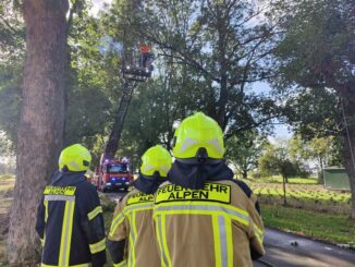 FW Alpen: Ast in Stromleitung fängt Feuer