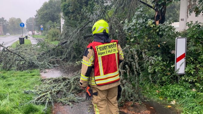 FW Alpen: Baum auf Bundesstraße 57