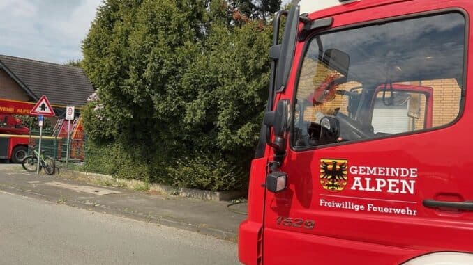 FW Alpen: Brennende Tanne durch Flämmarbeiten