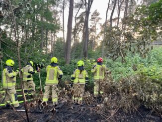 FW Alpen: Entstehungsbrand in der Böschung auf der A57