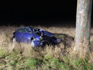 FW Alpen: Pkw frontal gegen Baum