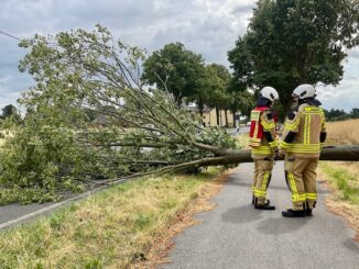 FW Alpen: Umgestürzter Baum blockiert Xantener Straße