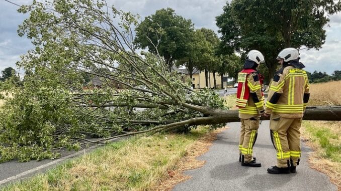 FW Alpen: Umgestürzter Baum blockiert Xantener Straße