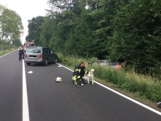 FW-BN: Frontalzusammenstoß zweier PKW - Beide Fahrer und ein Hund verletzt