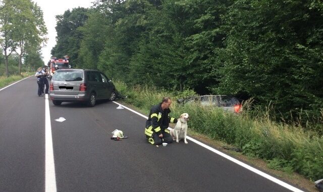 FW-BN: Frontalzusammenstoß zweier PKW - Beide Fahrer und ein Hund verletzt