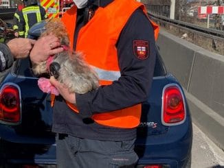 FW-BN: Verkehrsunfall auf der BAB565, zwei verletzte Personen