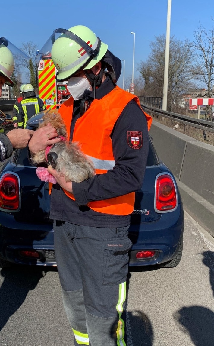 FW-BN: Verkehrsunfall auf der BAB565, zwei verletzte Personen