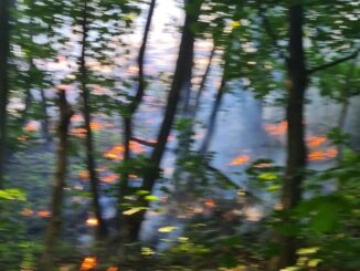 FW-BO: Ausgedehnter Vegetationsbrand in Bochum an der Steller Straße