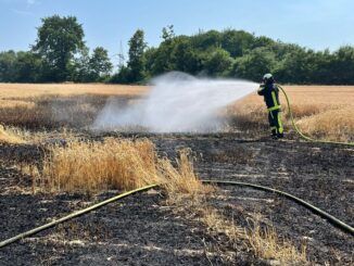 FW-BO: Flächenbrand in Langendreer