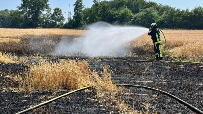 FW-BO: Flächenbrand in Langendreer