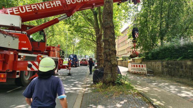 FW-BO-Fliegerbombe-in-Bochum-Erfolgreich-gesichert.jpeg FW-BO: Fliegerbombe in Bochum: Erfolgreich gesichert