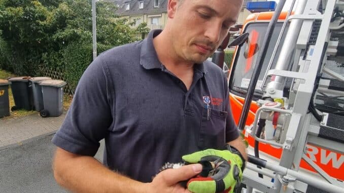 FW-BOT: Specht von Feuerwehr befreit