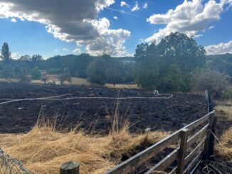 FW Bad Honnef: Erneuter großer Flächenbrand