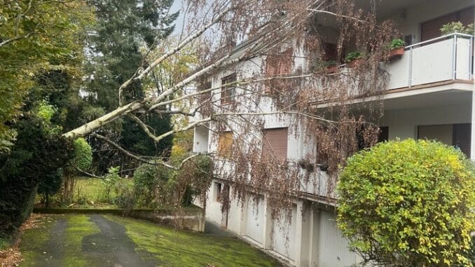 FW Bad Honnef: Orkantief &quot;Ciarán&quot; sorgt für Einsätze