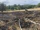 FW Bad Honnef: Wiese stand in Flammen