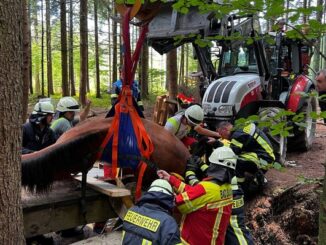 FW Bad Säckingen: Tierrettung - Pferd eingebrochen