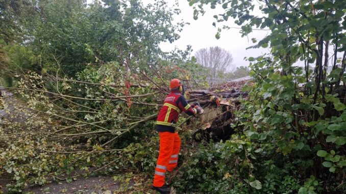 FW Bad Segeberg: Sturmlage verlief in Bad Segeberg glimpflich - 6 Einsätze